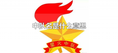 ​中队名是什么意思（少先队员中队名是什么意思）