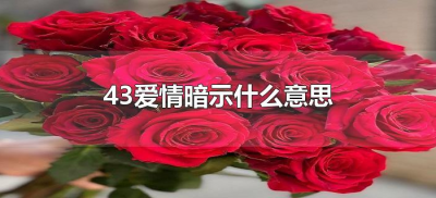 ​43爱情暗示什么意思（43网络爱情含义）