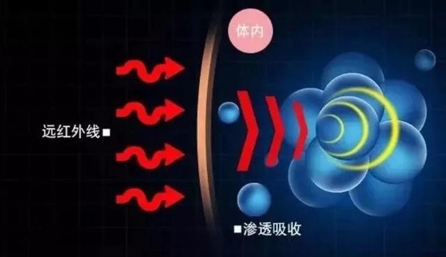 年轻时候刘嘉玲究竟有多美（岁月是杀猪刀54岁刘嘉玲）(22)