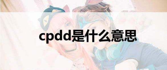 cpdd什么意思,cpdd是什么意思网络用语图1