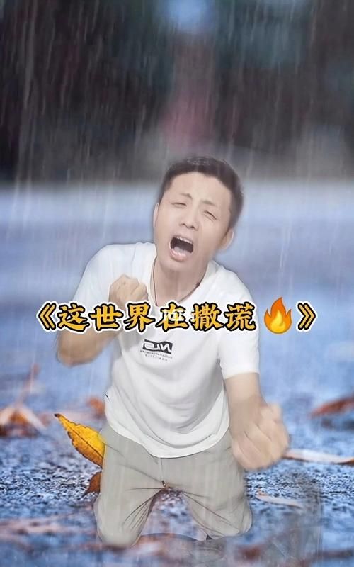 这世界在撒谎原唱歌词