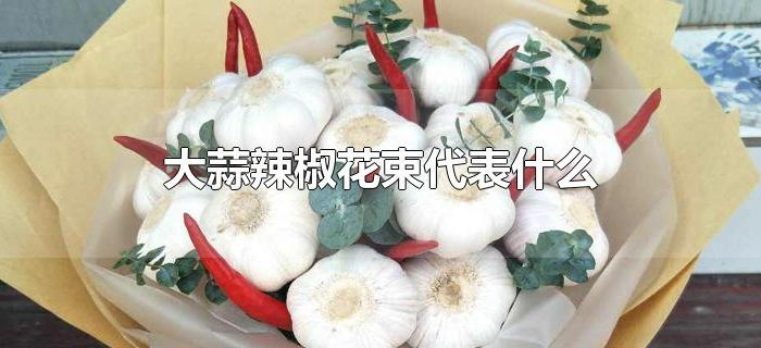 大蒜辣椒花束代表什么