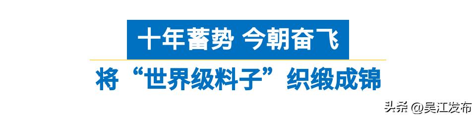 苏州市太湖新城（打造面向未来的世界级湖区）(5)