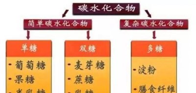 ​碳水化合物是什么，碳水化合物方程式是什么？