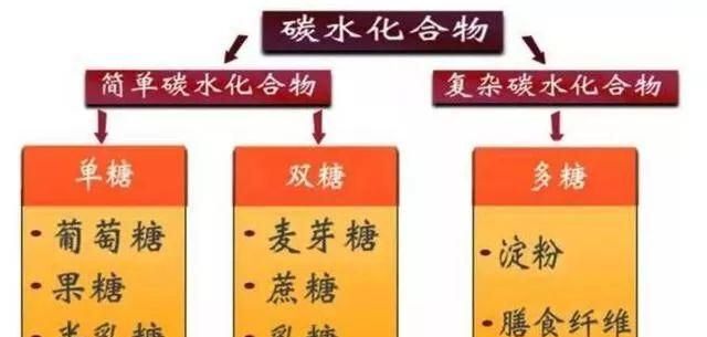 碳水化合物是什么，碳水化合物方程式是什么？图1