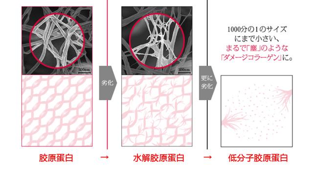 日本艾诗缇胶原蛋白（艾诗缇胶原蛋白口服液）(6)