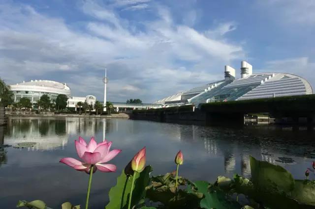 浙大紫金港校区最新消息（那么大大大的校区是如何建成的）(118)