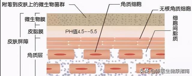 吃甲钴胺片多久能恢复正常（甲钴胺片是营养神经的扛把子）(4)