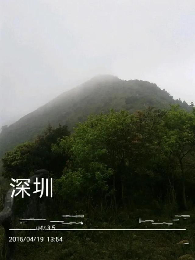 深圳第一高峰梧桐山攻略（我的8次深圳梧桐山之行）(12)