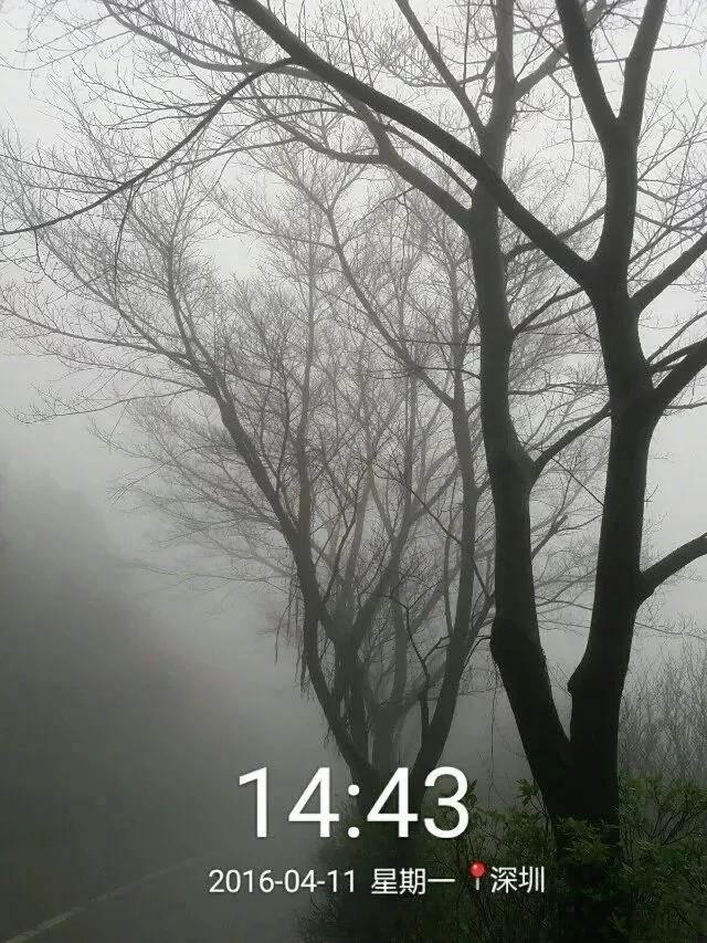 深圳第一高峰梧桐山攻略（我的8次深圳梧桐山之行）(85)