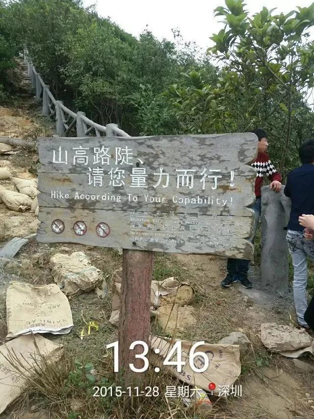 深圳第一高峰梧桐山攻略（我的8次深圳梧桐山之行）(35)