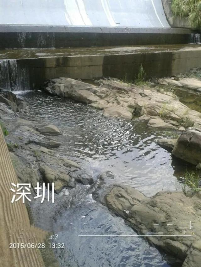 深圳第一高峰梧桐山攻略（我的8次深圳梧桐山之行）(33)