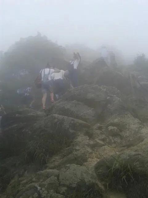 深圳第一高峰梧桐山攻略（我的8次深圳梧桐山之行）(17)