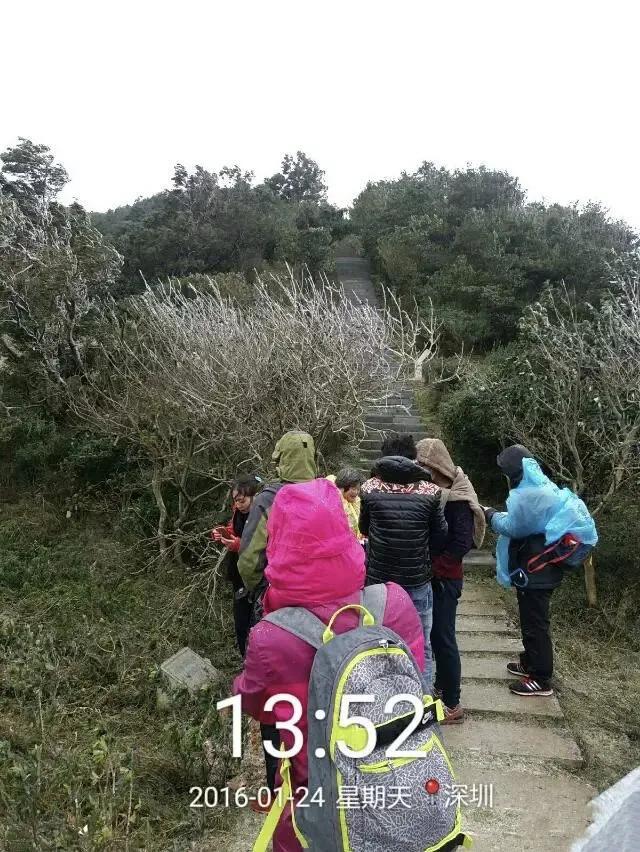 深圳第一高峰梧桐山攻略（我的8次深圳梧桐山之行）(49)