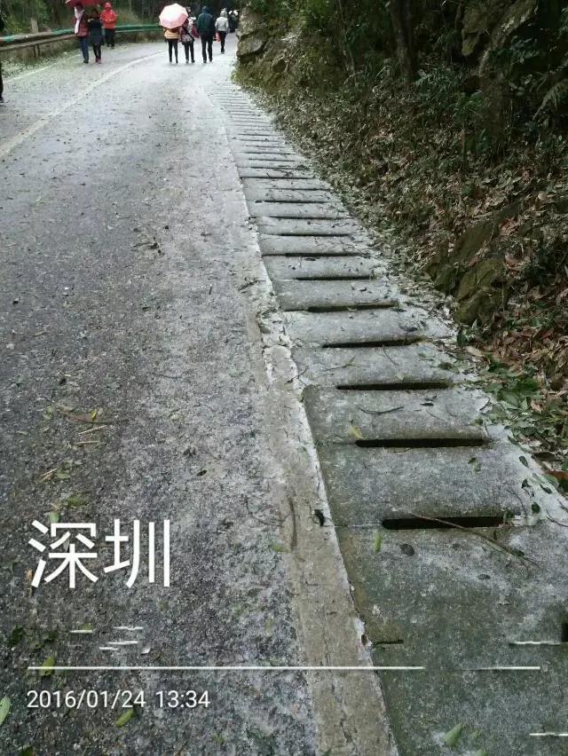 深圳第一高峰梧桐山攻略（我的8次深圳梧桐山之行）(46)