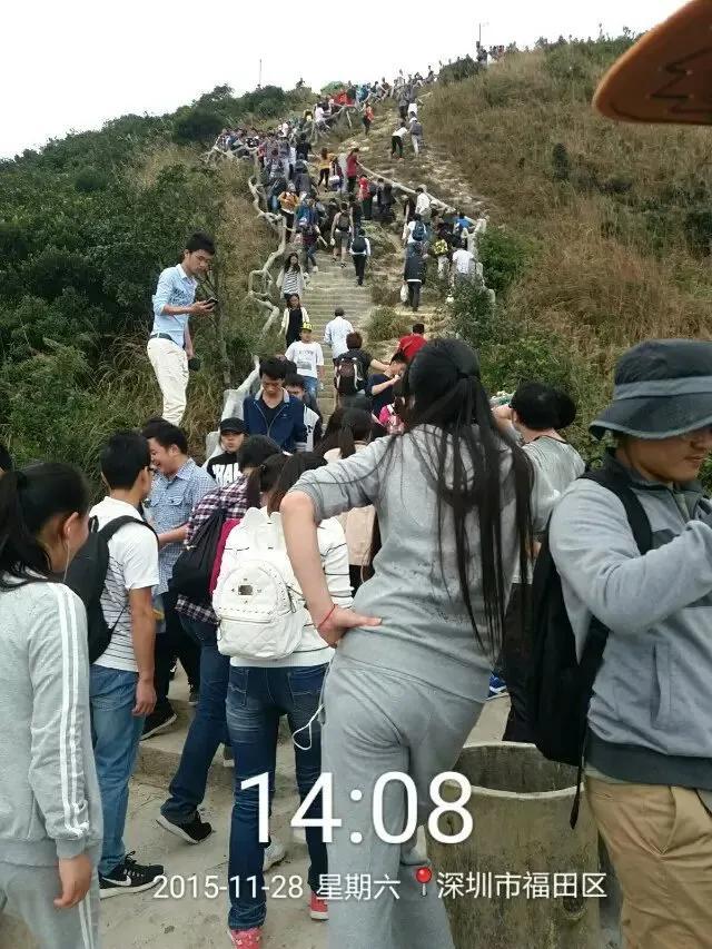 深圳第一高峰梧桐山攻略（我的8次深圳梧桐山之行）(38)