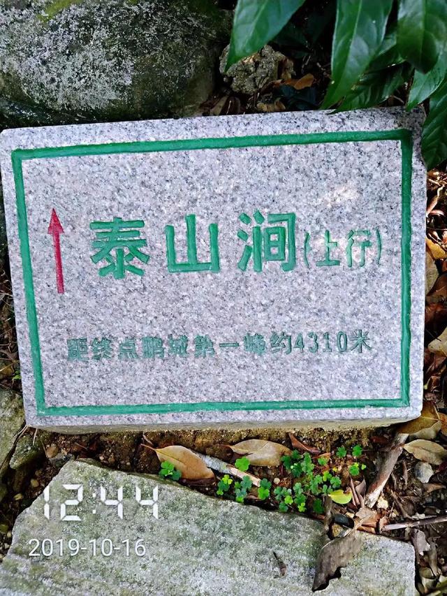 深圳第一高峰梧桐山攻略（我的8次深圳梧桐山之行）(98)