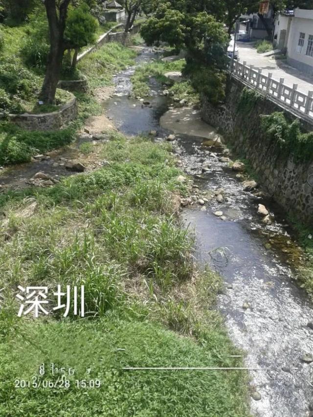 深圳第一高峰梧桐山攻略（我的8次深圳梧桐山之行）(27)