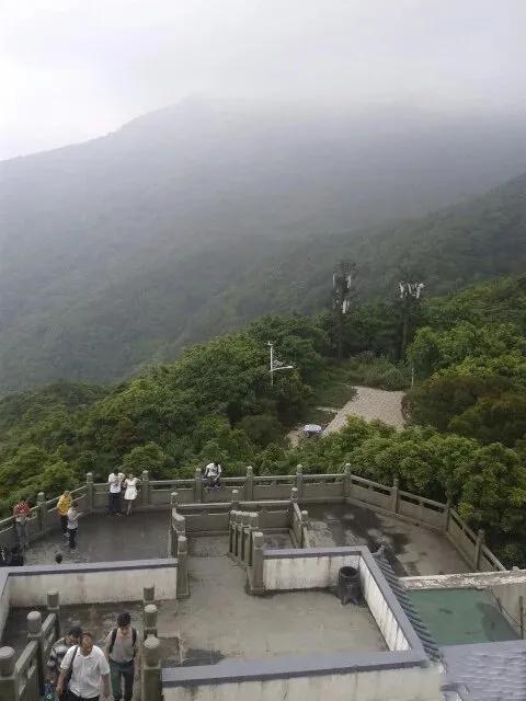 深圳第一高峰梧桐山攻略（我的8次深圳梧桐山之行）(9)