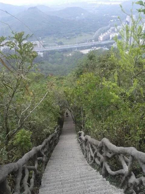 深圳第一高峰梧桐山攻略（我的8次深圳梧桐山之行）(3)