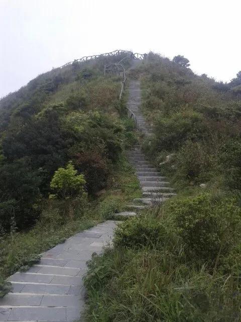 深圳第一高峰梧桐山攻略（我的8次深圳梧桐山之行）(13)