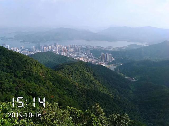 深圳第一高峰梧桐山攻略（我的8次深圳梧桐山之行）(117)