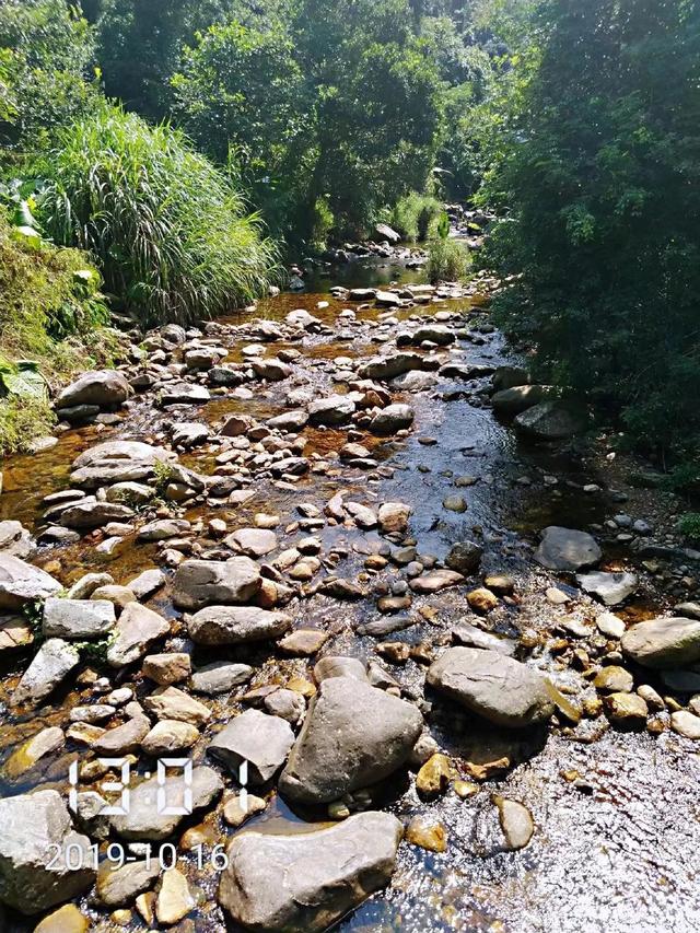 深圳第一高峰梧桐山攻略（我的8次深圳梧桐山之行）(101)