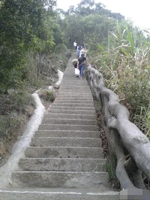 深圳第一高峰梧桐山攻略（我的8次深圳梧桐山之行）(4)