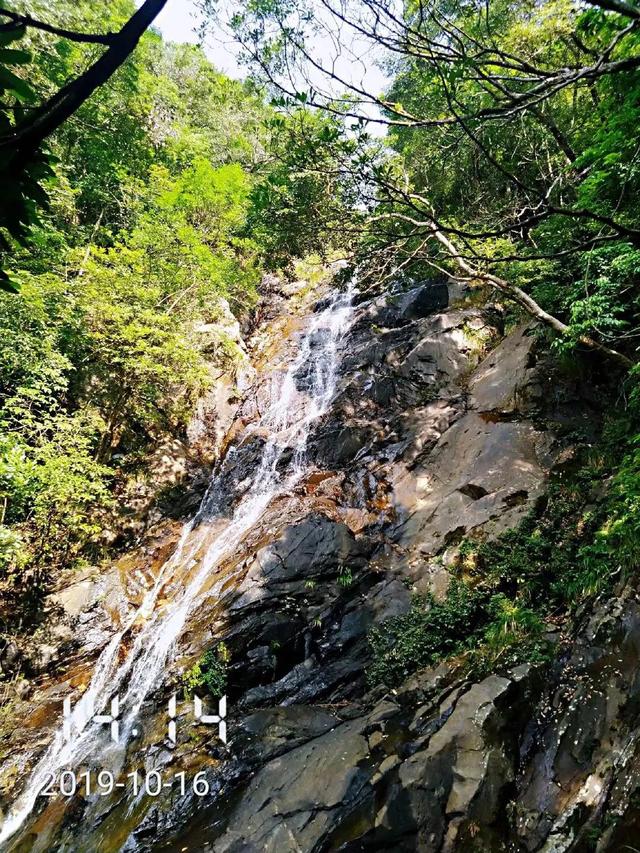 深圳第一高峰梧桐山攻略（我的8次深圳梧桐山之行）(108)