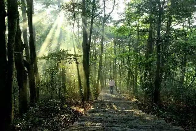 深圳周边自驾游玩攻略路线推荐（推荐你9条深圳周边短途自驾线路）(5)