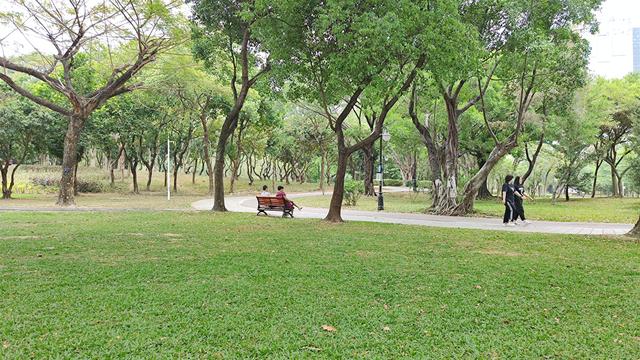 深圳最值得去的公园有哪些（深圳10个最具情怀公园）(8)