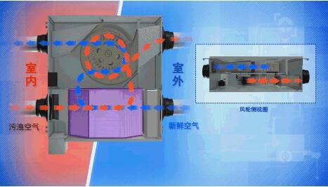 国内新风机哪个牌子好（史上首次新风机测评）(2)