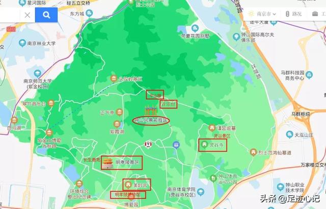 南京140元自由行攻略（7日南京自由行攻略）(5)