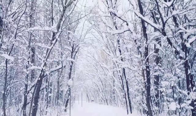 下雪天扫完雪发朋友圈的句子