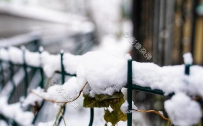 ​雪景发朋友圈配一句话，赞美雪景发朋友圈句子？