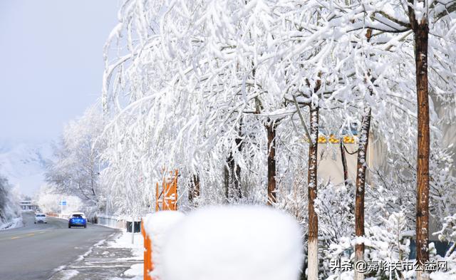 甘肃积雪大雪（甘肃5月突降大雪）(3)