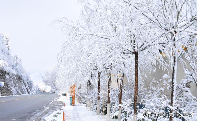 甘肃积雪大雪（甘肃5月突降大雪）(2)