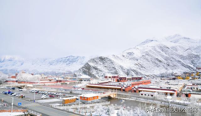 甘肃积雪大雪（甘肃5月突降大雪）(20)