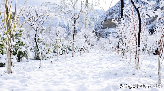 甘肃积雪大雪（甘肃5月突降大雪）(5)