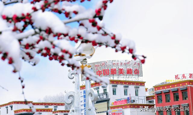 甘肃积雪大雪（甘肃5月突降大雪）(32)