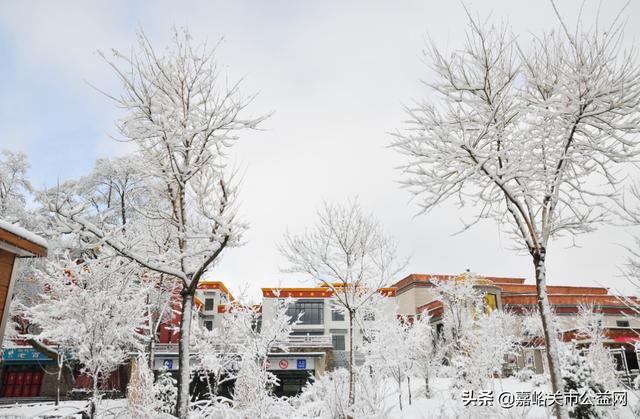 甘肃积雪大雪（甘肃5月突降大雪）(36)