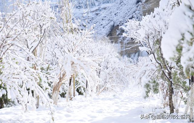 甘肃积雪大雪（甘肃5月突降大雪）(7)