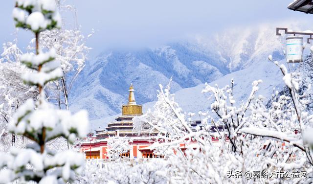 甘肃积雪大雪（甘肃5月突降大雪）(10)