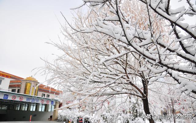 甘肃积雪大雪（甘肃5月突降大雪）(39)