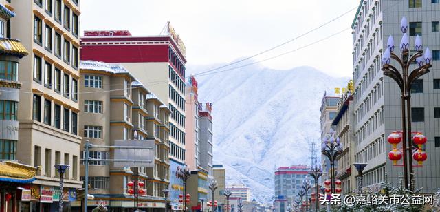 甘肃积雪大雪（甘肃5月突降大雪）(30)