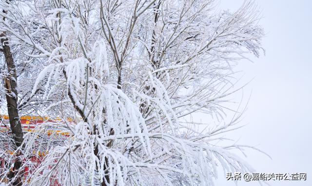 甘肃积雪大雪（甘肃5月突降大雪）(43)