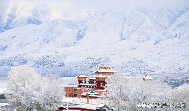 甘肃积雪大雪（甘肃5月突降大雪）(19)