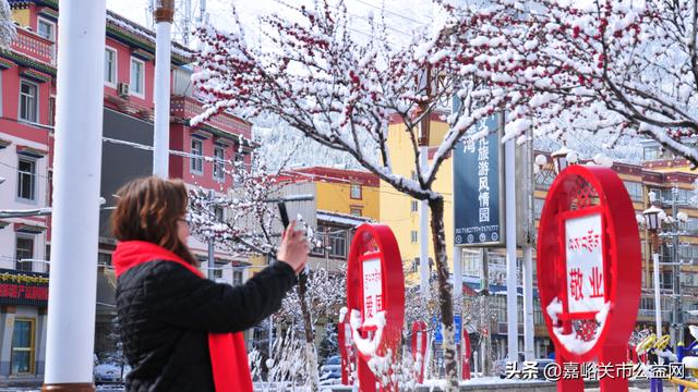 甘肃积雪大雪（甘肃5月突降大雪）(45)