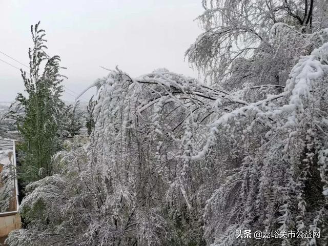 甘肃积雪大雪（甘肃5月突降大雪）(53)