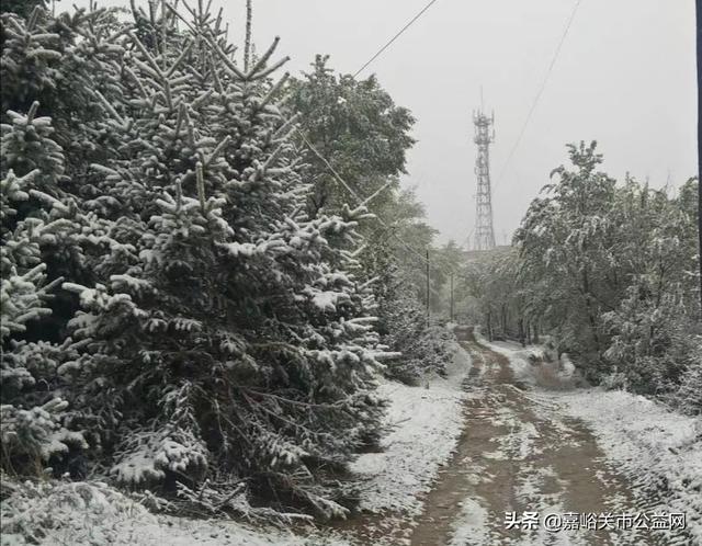 甘肃积雪大雪（甘肃5月突降大雪）(49)